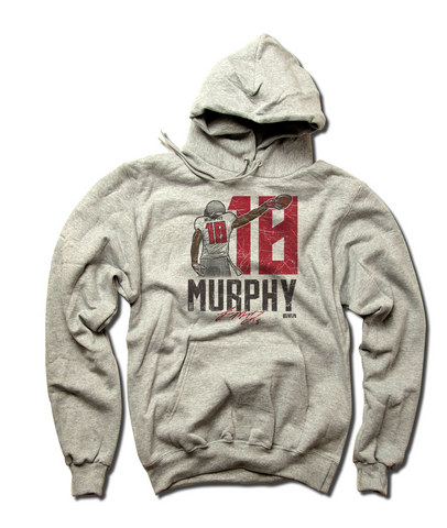 Mens Hoodie Gray